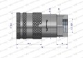 WIFR12MW.jpg