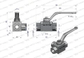 WKH3-B-1-2BSP.jpg