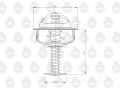 50513091U.jpg