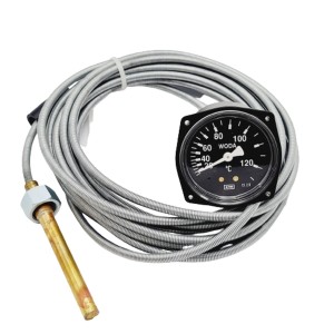 Wskaźnik temperatury wody TP-TO60 Bizon Z-056 Z-058