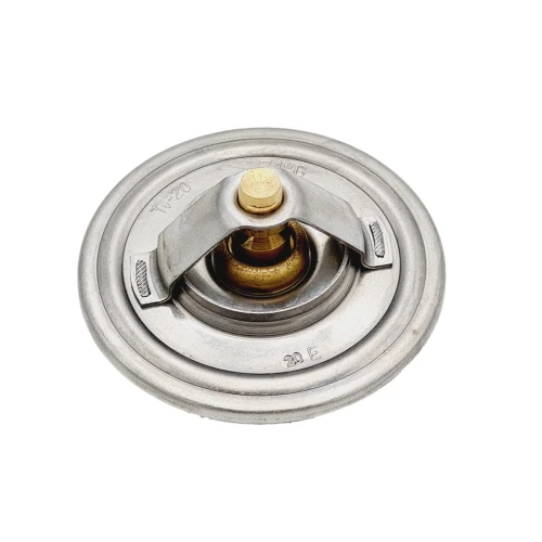 Termostat SW400 Bizon Z-056.jpg