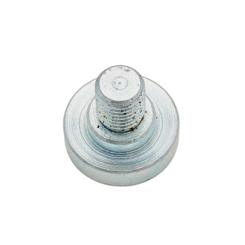 Wkręt specjalny pompa P-20 P-40 opryskiwacz.jpg